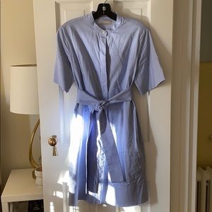 Everlane cotton dress